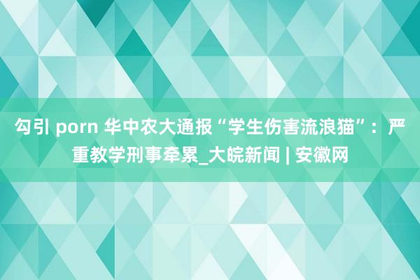 勾引 porn 华中农大通报“学生伤害流浪猫”：严重教学刑事牵累_大皖新闻 | 安徽网