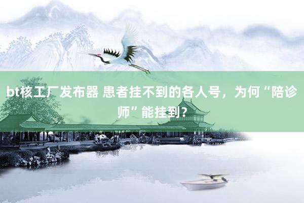 bt核工厂发布器 患者挂不到的各人号，为何“陪诊师”能挂到？