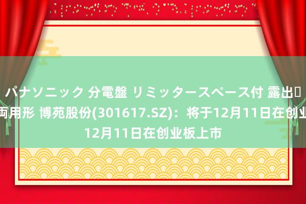 パナソニック 分電盤 リミッタースペース付 露出・半埋込両用形 博苑股份(301617.SZ)：将于12月11日在创业板上市