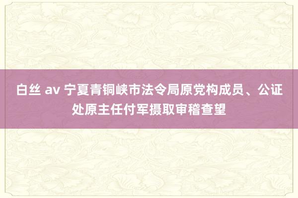 白丝 av 宁夏青铜峡市法令局原党构成员、公证处原主任付军摄取审稽查望