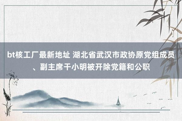 bt核工厂最新地址 湖北省武汉市政协原党组成员、副主席干小明被开除党籍和公职