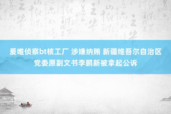 爰唯侦察bt核工厂 涉嫌纳贿 新疆维吾尔自治区党委原副文书李鹏新被拿起公诉