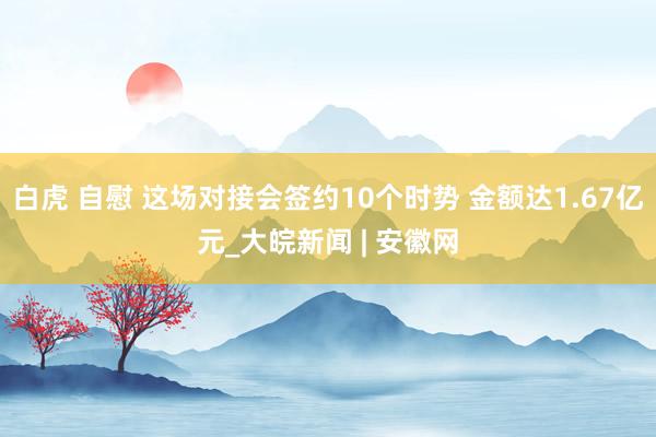 白虎 自慰 这场对接会签约10个时势 金额达1.67亿元_大皖新闻 | 安徽网