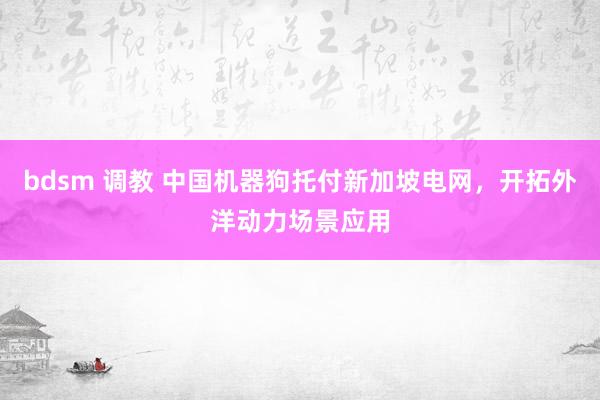 bdsm 调教 中国机器狗托付新加坡电网，开拓外洋动力场景应用