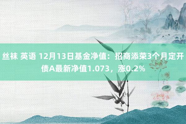 丝袜 英语 12月13日基金净值：招商添荣3个月定开债A最新净值1.073，涨0.2%