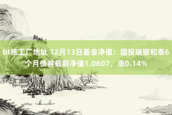 bt核工厂地址 12月13日基金净值：国投瑞银和泰6个月债券最新净值1.0607，涨0.14%