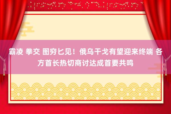 霸凌 拳交 图穷匕见！俄乌干戈有望迎来终端 各方首长热切商讨达成首要共鸣