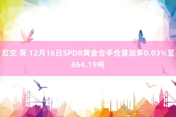 肛交 哭 12月16日SPDR黄金合手仓量加多0.03%至864.19吨