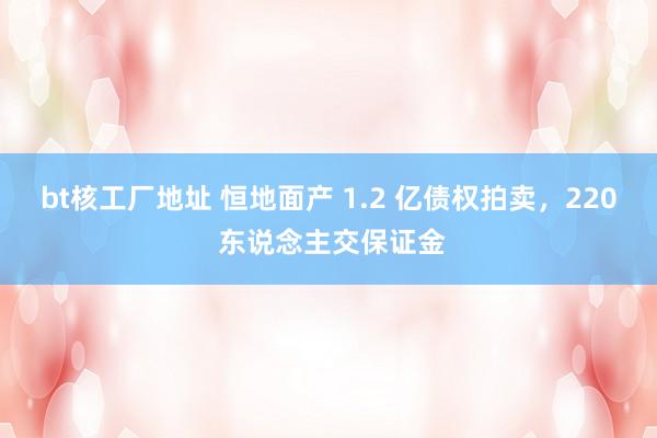 bt核工厂地址 恒地面产 1.2 亿债权拍卖，220 东说念主交保证金