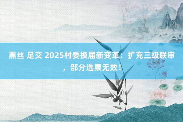 黑丝 足交 2025村委换届新变革：扩充三级联审，部分选票无效！