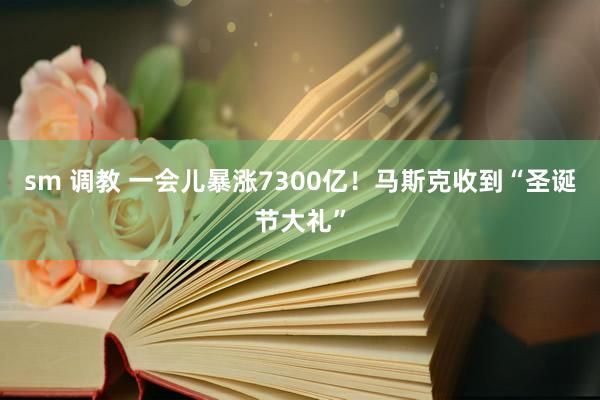 sm 调教 一会儿暴涨7300亿！马斯克收到“圣诞节大礼”