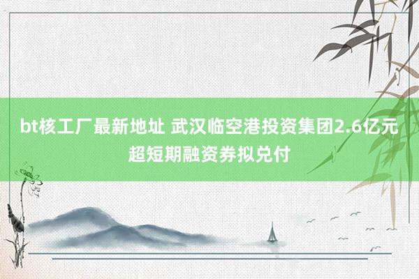 bt核工厂最新地址 武汉临空港投资集团2.6亿元超短期融资券拟兑付