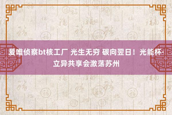 爰唯侦察bt核工厂 光生无穷 碳向翌日！光能杯·立异共享会激荡苏州