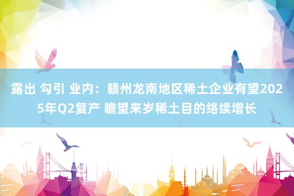 露出 勾引 业内：赣州龙南地区稀土企业有望2025年Q2复产 瞻望来岁稀土目的络续增长