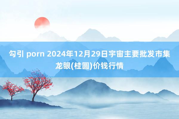 勾引 porn 2024年12月29日宇宙主要批发市集龙眼(桂圆)价钱行情