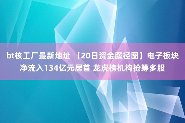 bt核工厂最新地址 【20日资金蹊径图】电子板块净流入134亿元居首 龙虎榜机构抢筹多股