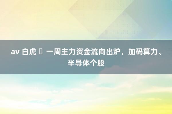 av 白虎 ​一周主力资金流向出炉，加码算力、半导体个股