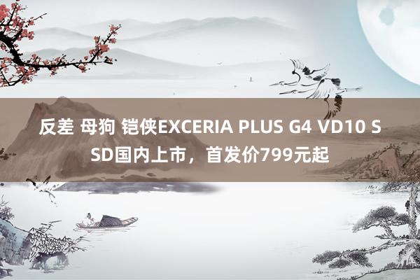 反差 母狗 铠侠EXCERIA PLUS G4 VD10 SSD国内上市，首发价799元起