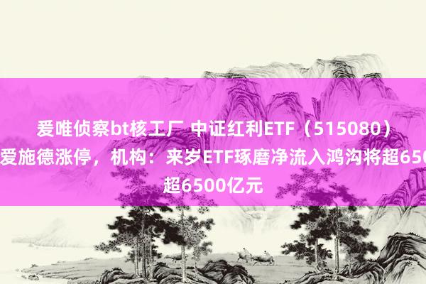 爰唯侦察bt核工厂 中证红利ETF（515080）飘红，爱施德涨停，机构：来岁ETF琢磨净流入鸿沟将超6500亿元