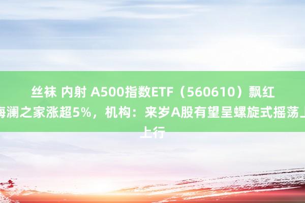 丝袜 内射 A500指数ETF（560610）飘红，海澜之家涨超5%，机构：来岁A股有望呈螺旋式摇荡上行