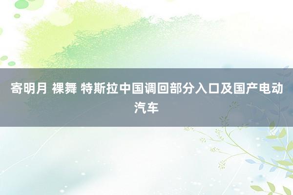 寄明月 裸舞 特斯拉中国调回部分入口及国产电动汽车