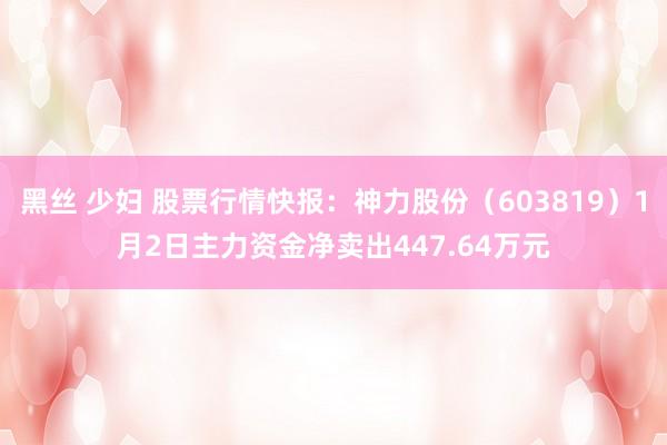 黑丝 少妇 股票行情快报：神力股份（603819）1月2日主力资金净卖出447.64万元