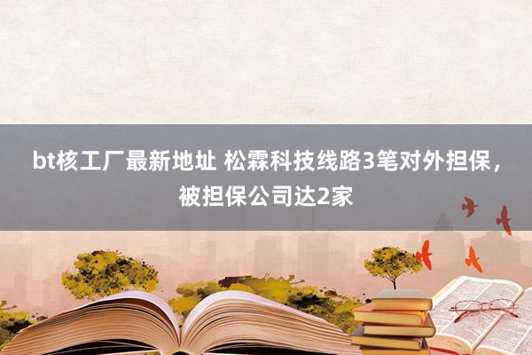 bt核工厂最新地址 松霖科技线路3笔对外担保，被担保公司达2家