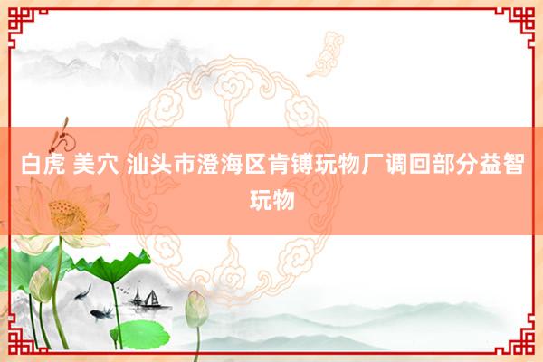 白虎 美穴 汕头市澄海区肯镈玩物厂调回部分益智玩物