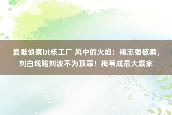 爰唯侦察bt核工厂 风中的火焰：褚志强被骗，刘白线路刘波不为顶罪！梅苇成最大赢家