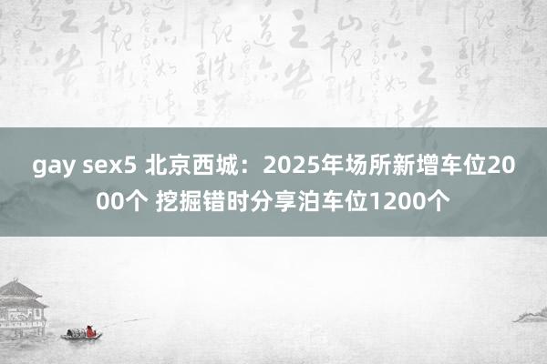 gay sex5 北京西城：2025年场所新增车位2000个 挖掘错时分享泊车位1200个