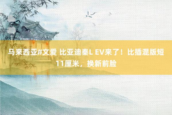 马来西亚#文爱 比亚迪秦L EV来了！比插混版短11厘米，换新前脸