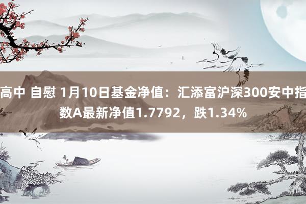 高中 自慰 1月10日基金净值：汇添富沪深300安中指数A最新净值1.7792，跌1.34%