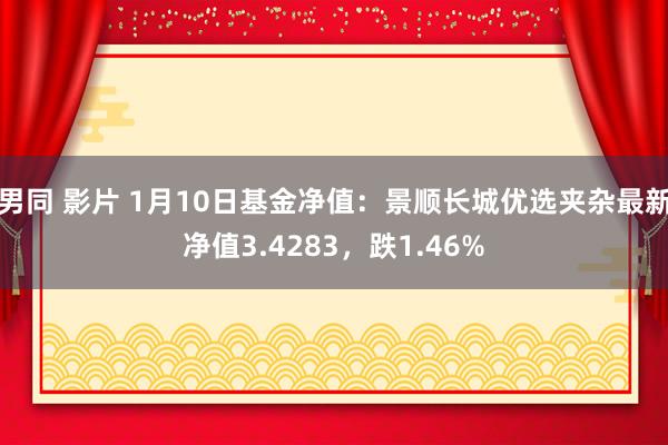 男同 影片 1月10日基金净值：景顺长城优选夹杂最新净值3.4283，跌1.46%