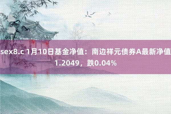 sex8.c 1月10日基金净值：南边祥元债券A最新净值1.2049，跌0.04%