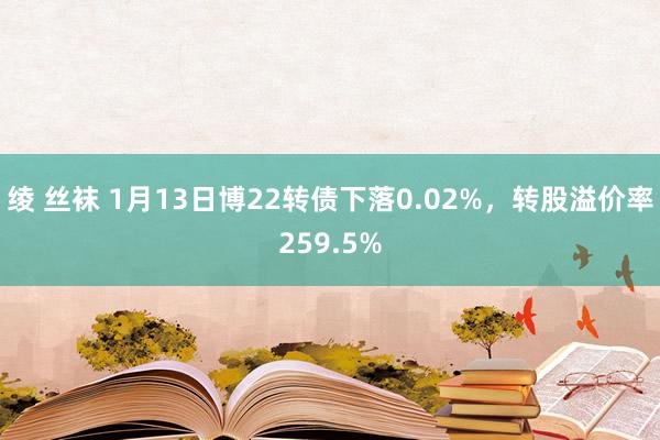 绫 丝袜 1月13日博22转债下落0.02%，转股溢价率259.5%