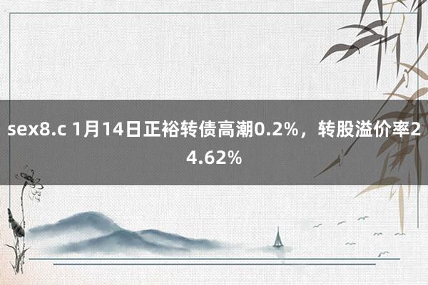 sex8.c 1月14日正裕转债高潮0.2%，转股溢价率24.62%