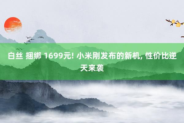 白丝 捆绑 1699元! 小米刚发布的新机， 性价比逆天来袭