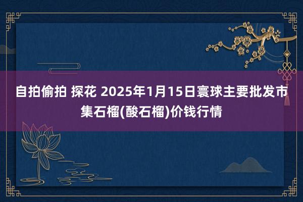 自拍偷拍 探花 2025年1月15日寰球主要批发市集石榴(酸石榴)价钱行情