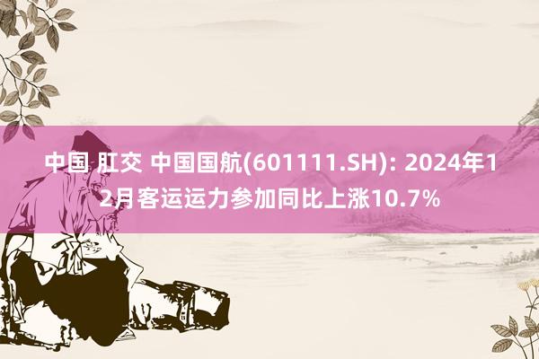 中国 肛交 中国国航(601111.SH): 2024年12月客运运力参加同比上涨10.7%