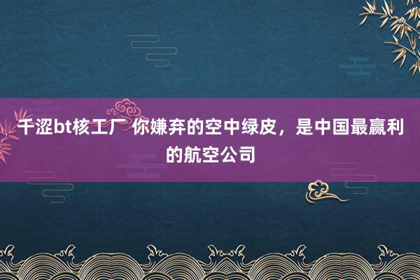 千涩bt核工厂 你嫌弃的空中绿皮，是中国最赢利的航空公司