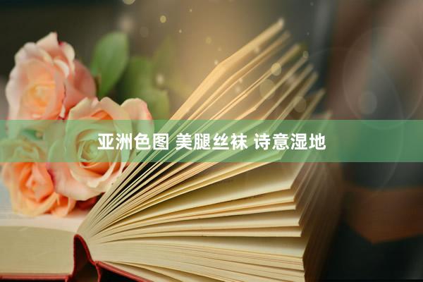 亚洲色图 美腿丝袜 诗意湿地