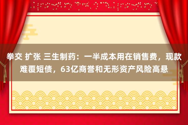 拳交 扩张 三生制药：一半成本用在销售费，现款难覆短债，63亿商誉和无形资产风险高悬