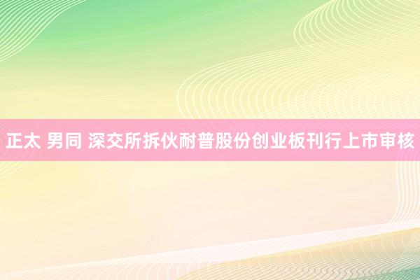 正太 男同 深交所拆伙耐普股份创业板刊行上市审核